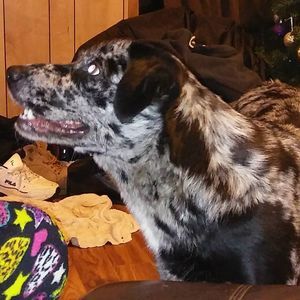 Meet your Posher, William